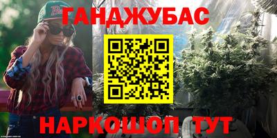 крисы Сланцы