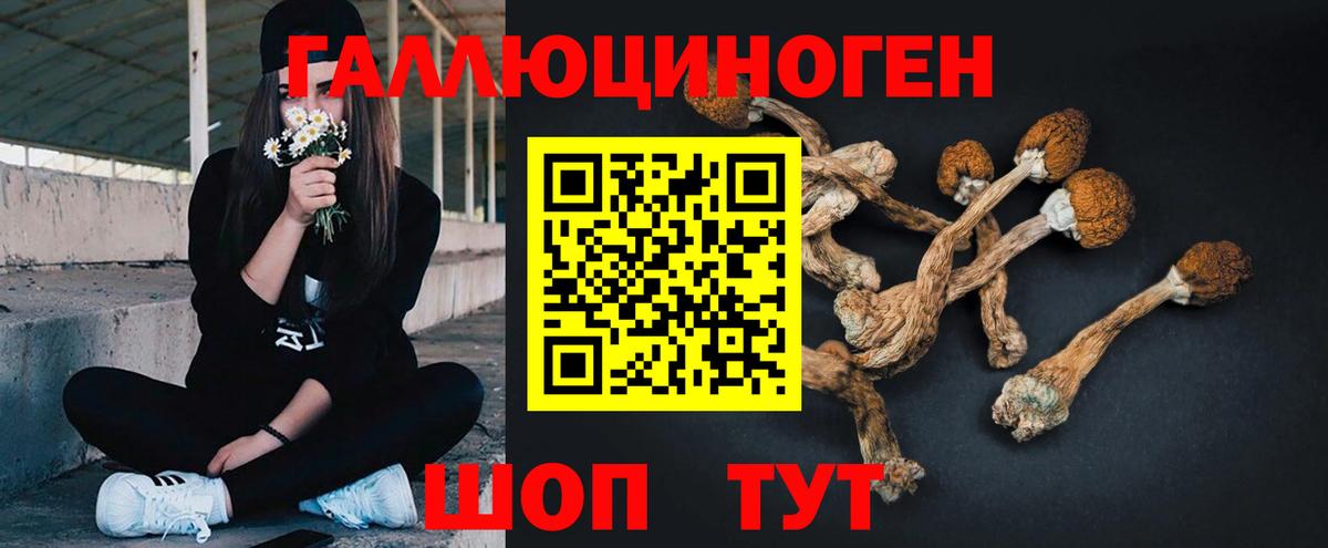Галлюциногенные грибы мухоморы  Вход с VPN  Нарткала 